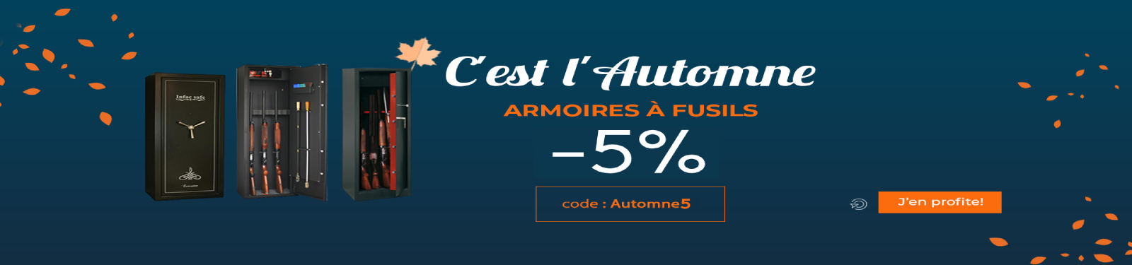 Armoires à fusils