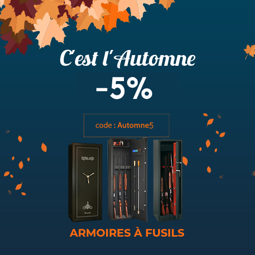 promo-armoire-a-fusil
