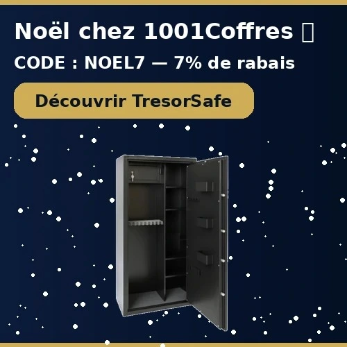 promo-noel-armoire-a-fusils-tresorsafe