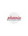 PHOENIX SAFE